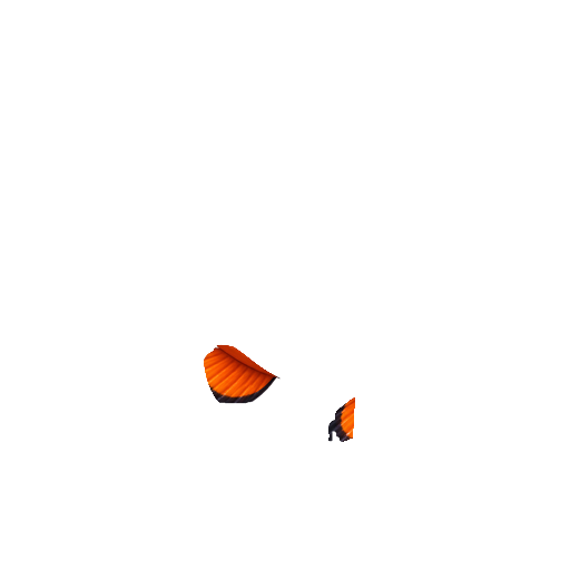 Two isolated lower orange fins on a transparent registration canvas