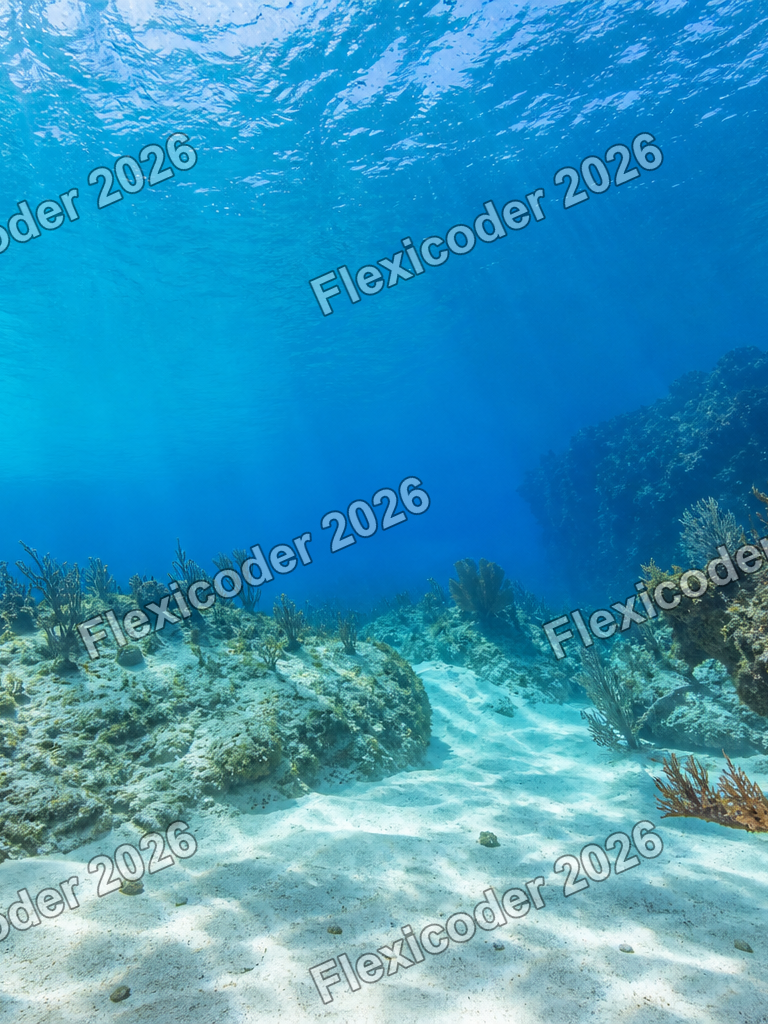 Portrait underwater reef poster background for the Caribbean collection