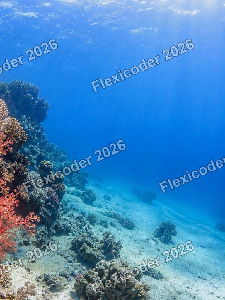 Portrait underwater reef poster background for the Red Sea collection