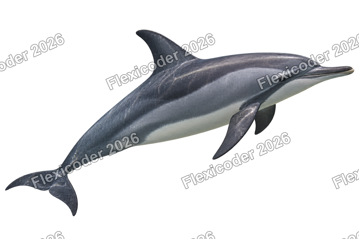 Transparent production sticker artwork of Spinner Dolphin for the Red Sea collection