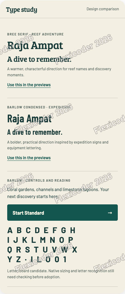 Light typography study at wide width