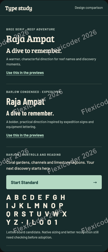 Dark typography study at wide width
